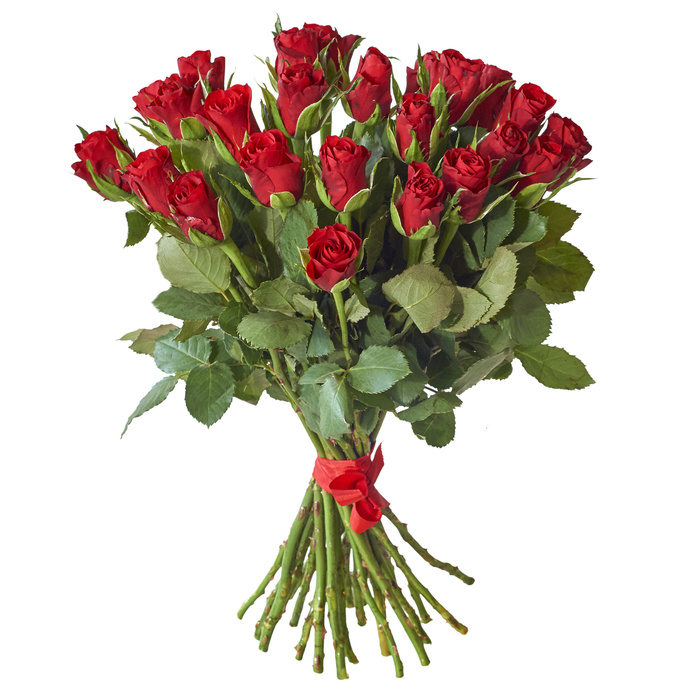 Mazzo di 24 rose rosse