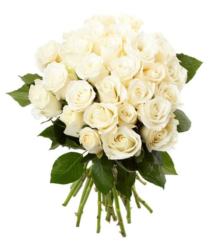 mazzo di rose bianche